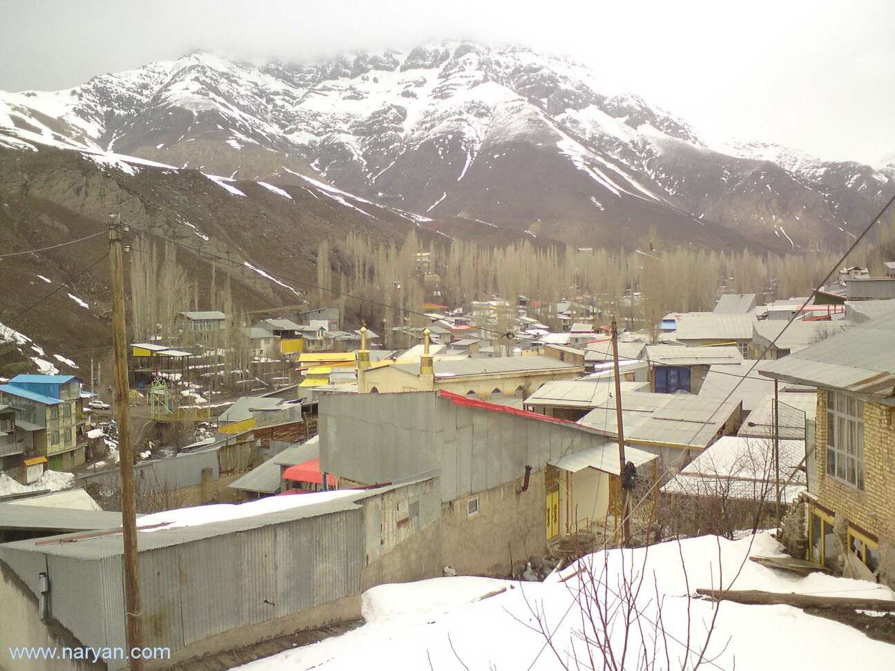 Ali_Sharifkazemi_931123 (22).jpg